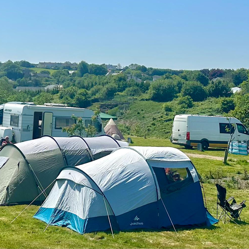 big sheep camping