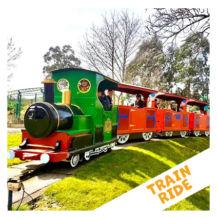 train ride