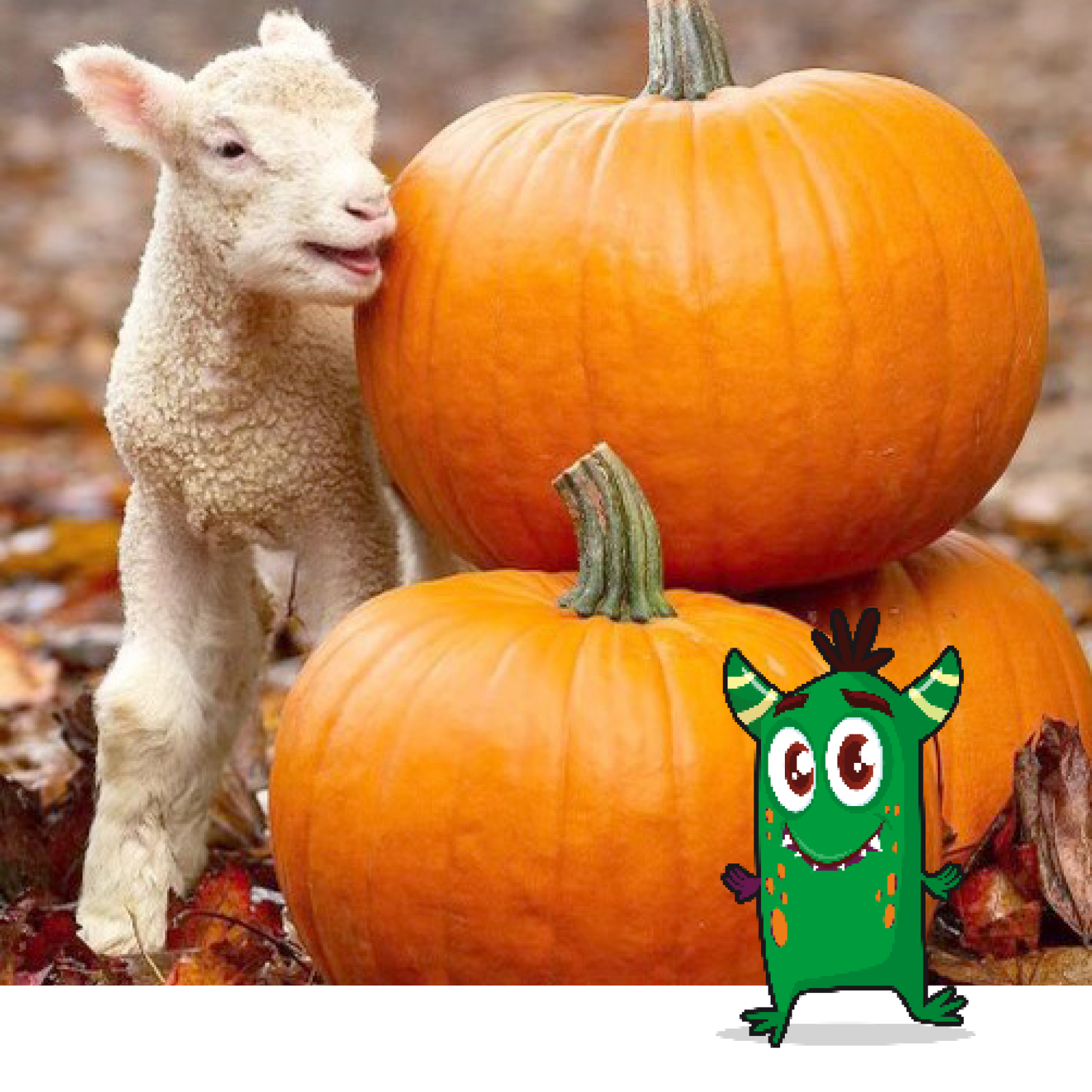 Big Sheep Halloween2 Big Sheep Halloween Web