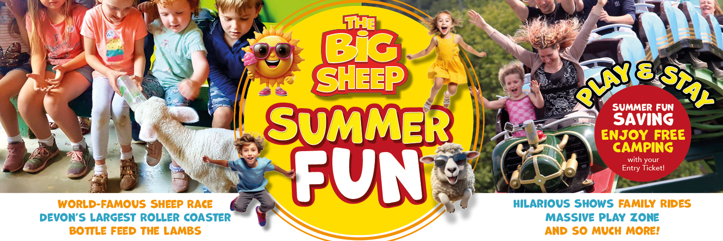 Summer Fun Summer Fun