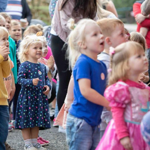 Toddler Fest