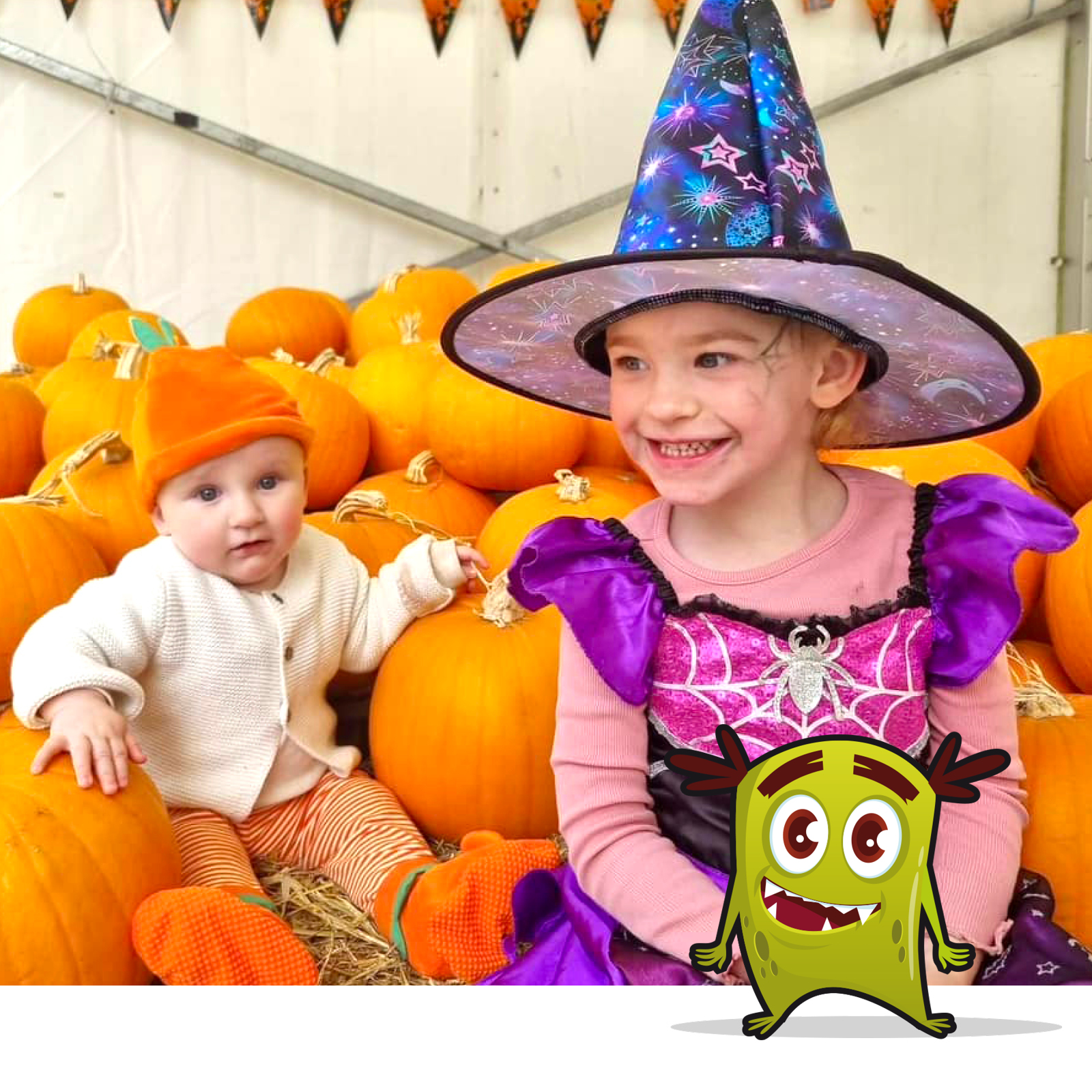pumpkins pumpkins