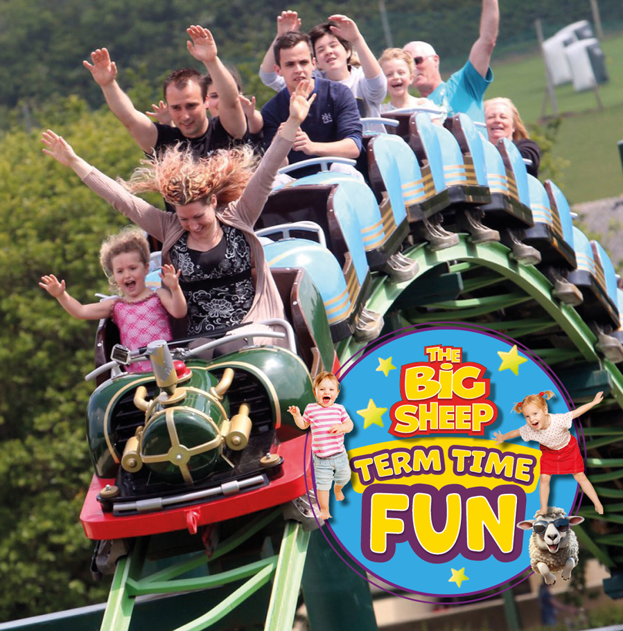 The Big Sheep summer of fun