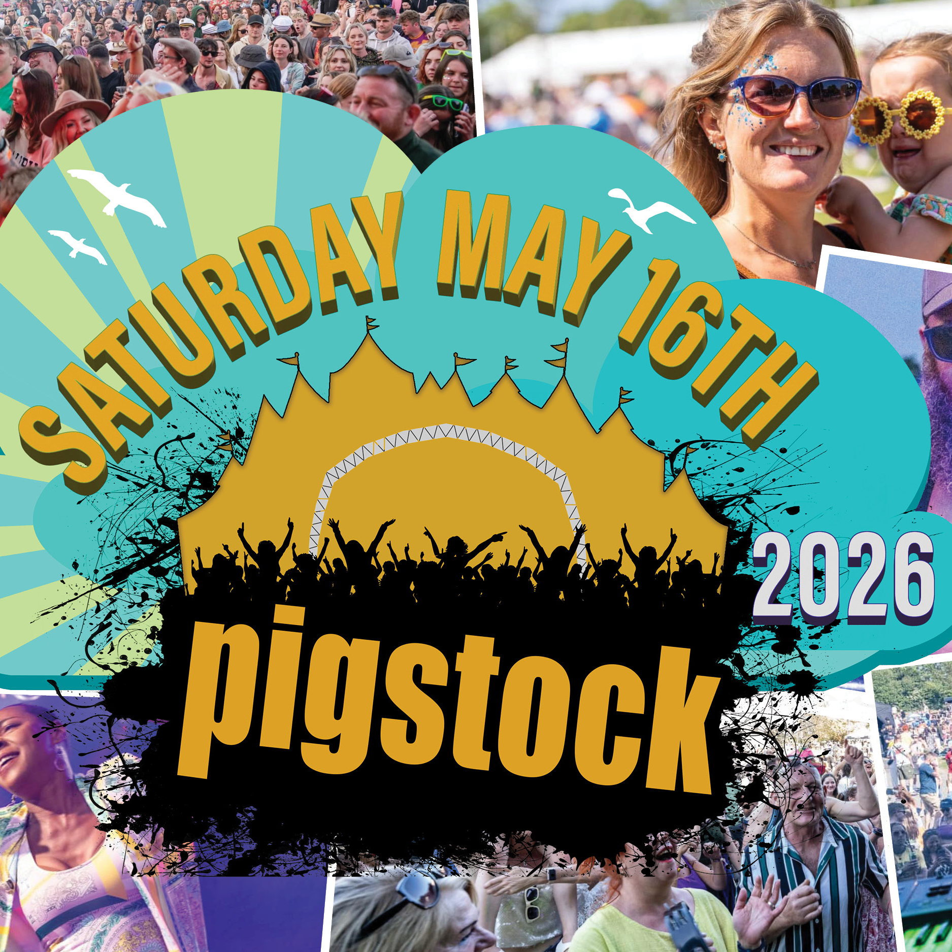 Pigstock2 Pigstock2