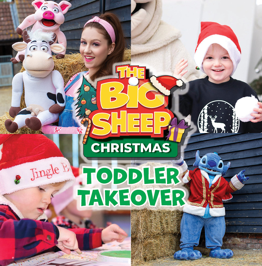 Christmas Toddler Takeover