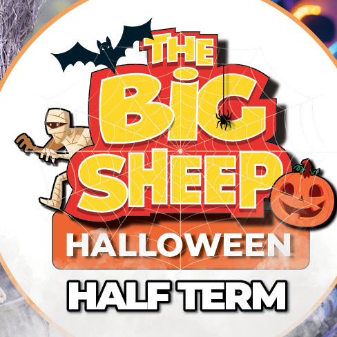 The Big Sheep summer of fun