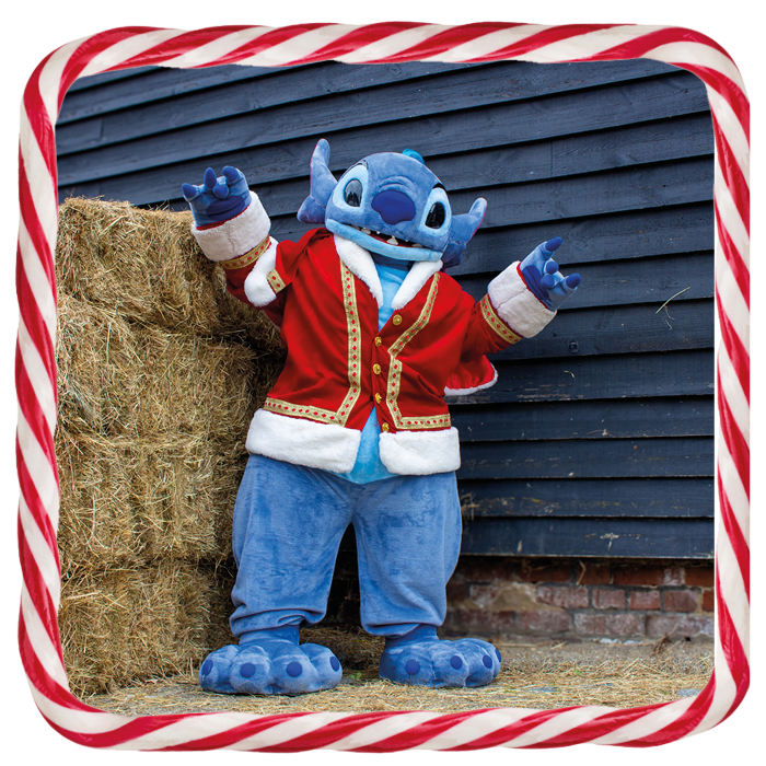 Stitch Stitch
