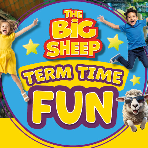 The Big Sheep summer of fun