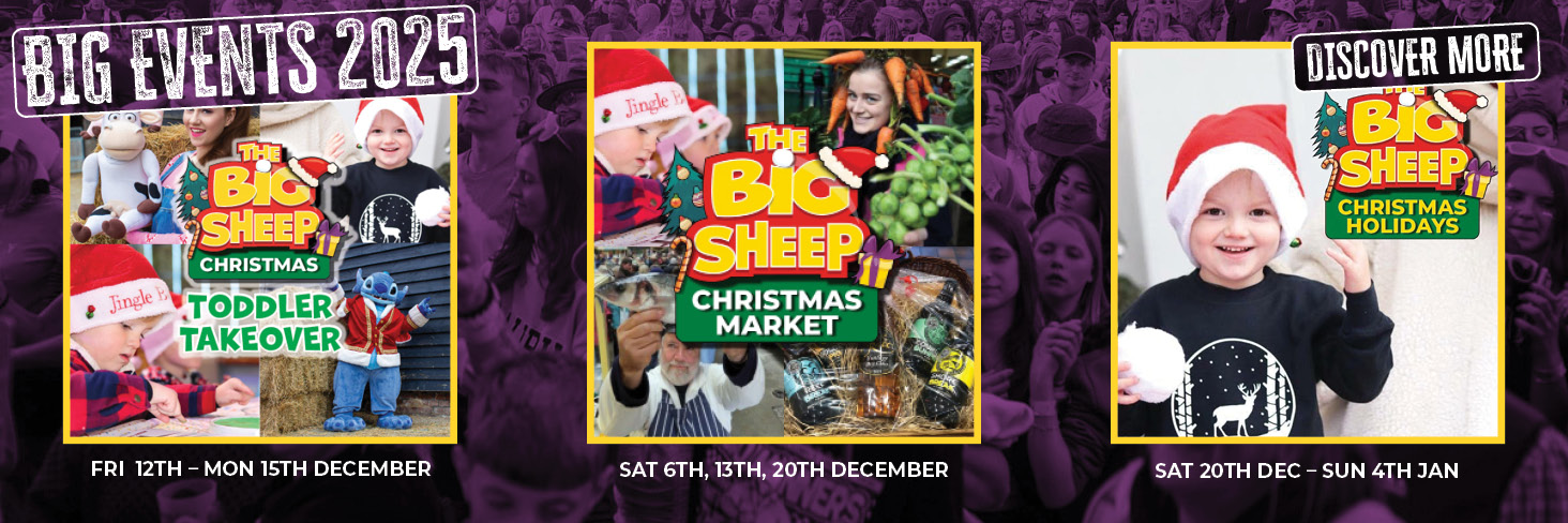 Winter Fun on the Farm