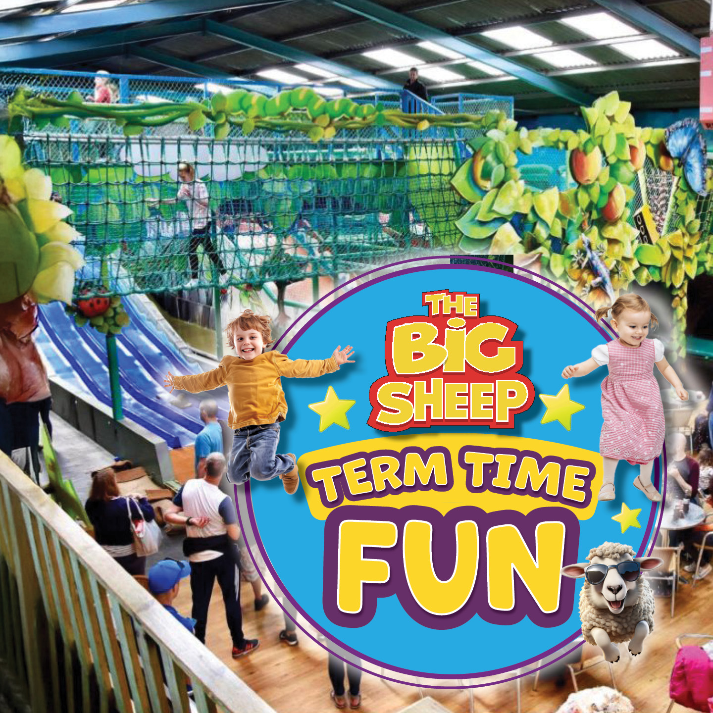 The Big Sheep summer of fun