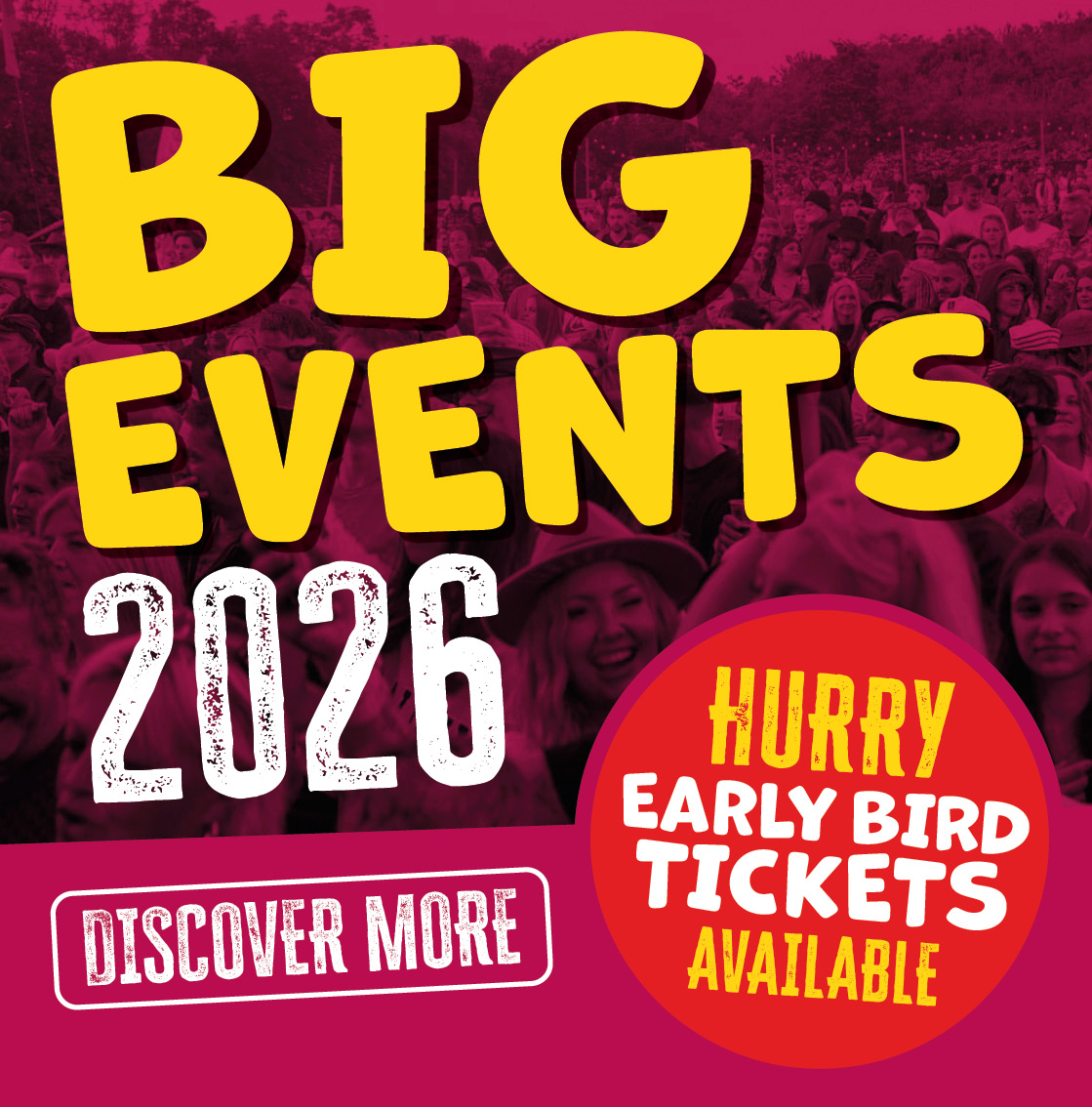 The Big Sheep summer of fun