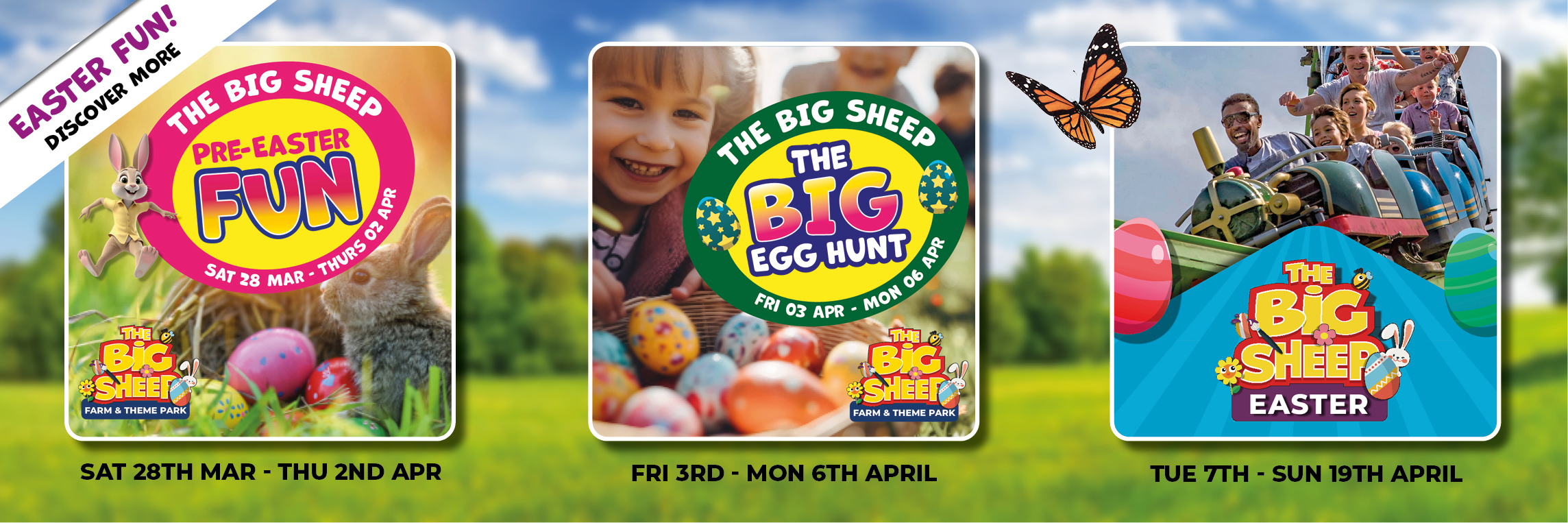 Family Day Out Family Day Out The Big Sheep