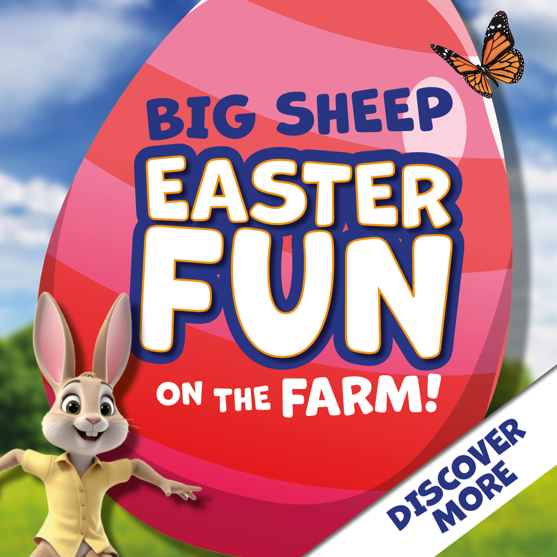 Family Day Out Family Day Out The Big Sheep