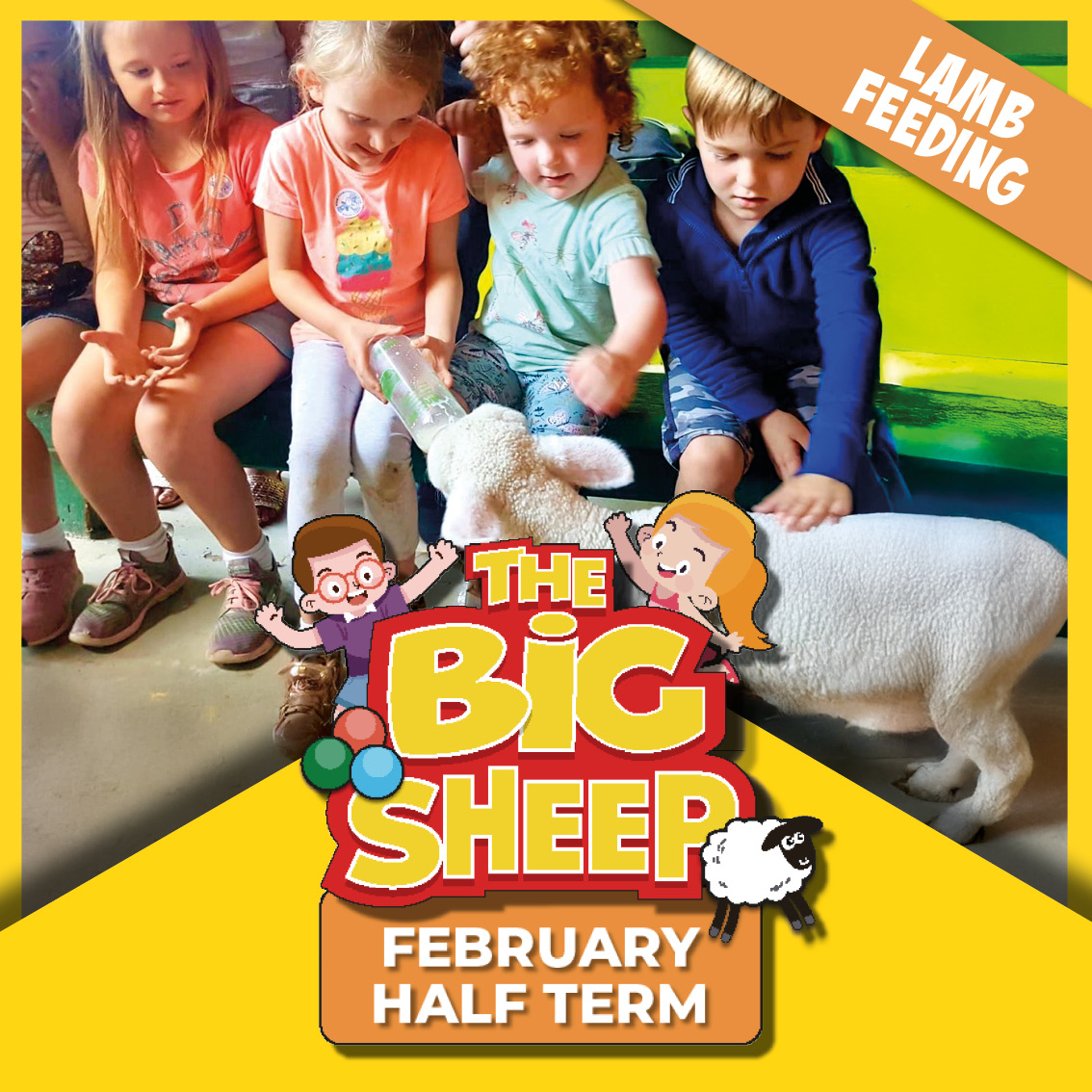 Big Sheep Lamb Feeding