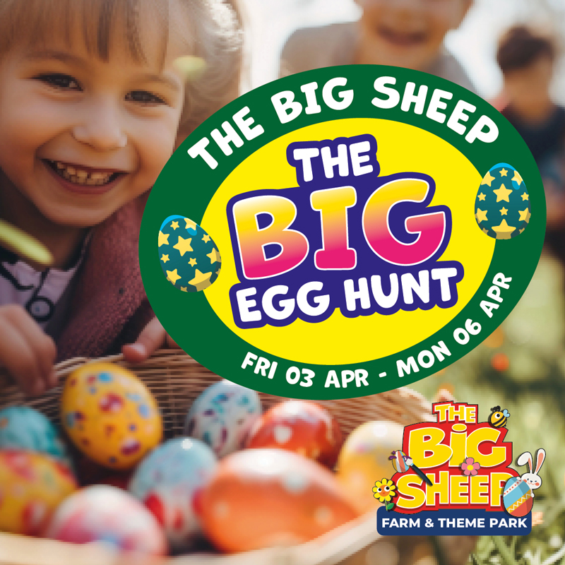 big-egg-hunt-fun big-egg-hunt-fun
