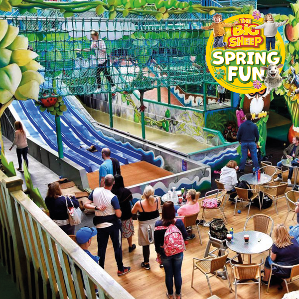 Big Sheep Winter Fun