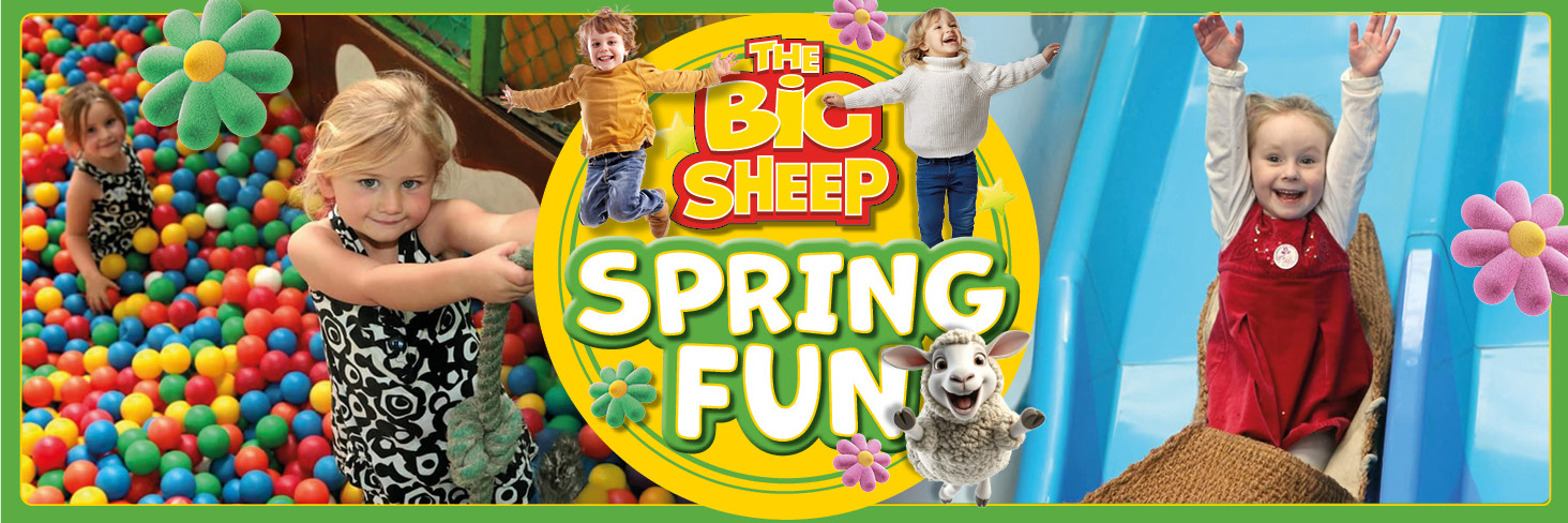 Family Day Out Family Day Out The Big Sheep